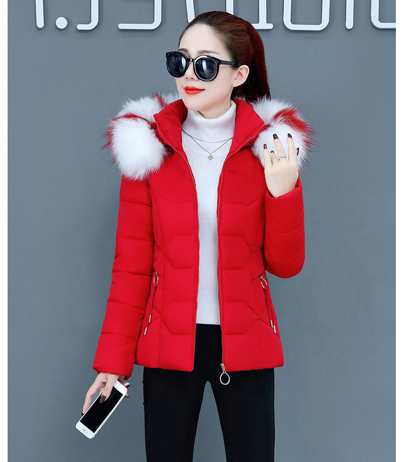 Female Short Cotton Coat Thickened Slim Fit Fashionable Jacket - Image 5